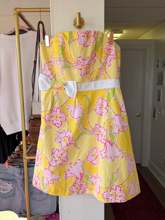 Lilly Pulitzer 10 Amberly Dress